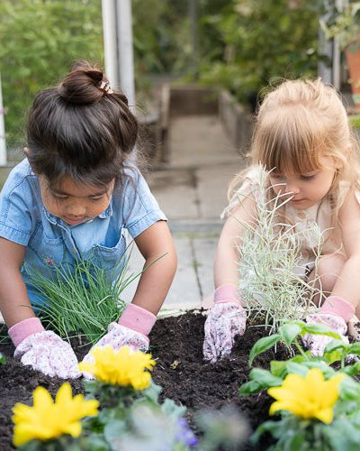 0026386 tuinhandschoenen fairy garden
