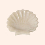 37936 vide poche coquillage resine 2 
