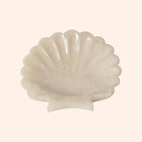 37936 vide poche coquillage resine 2 