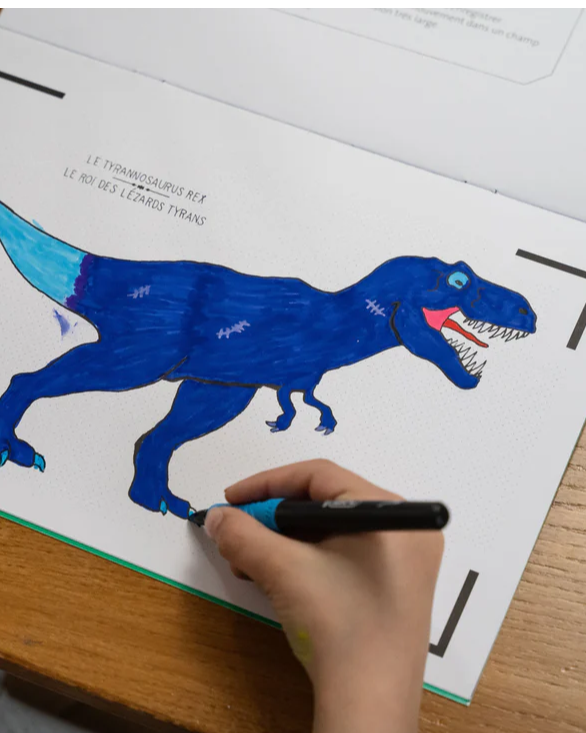 Dinosaures2 min