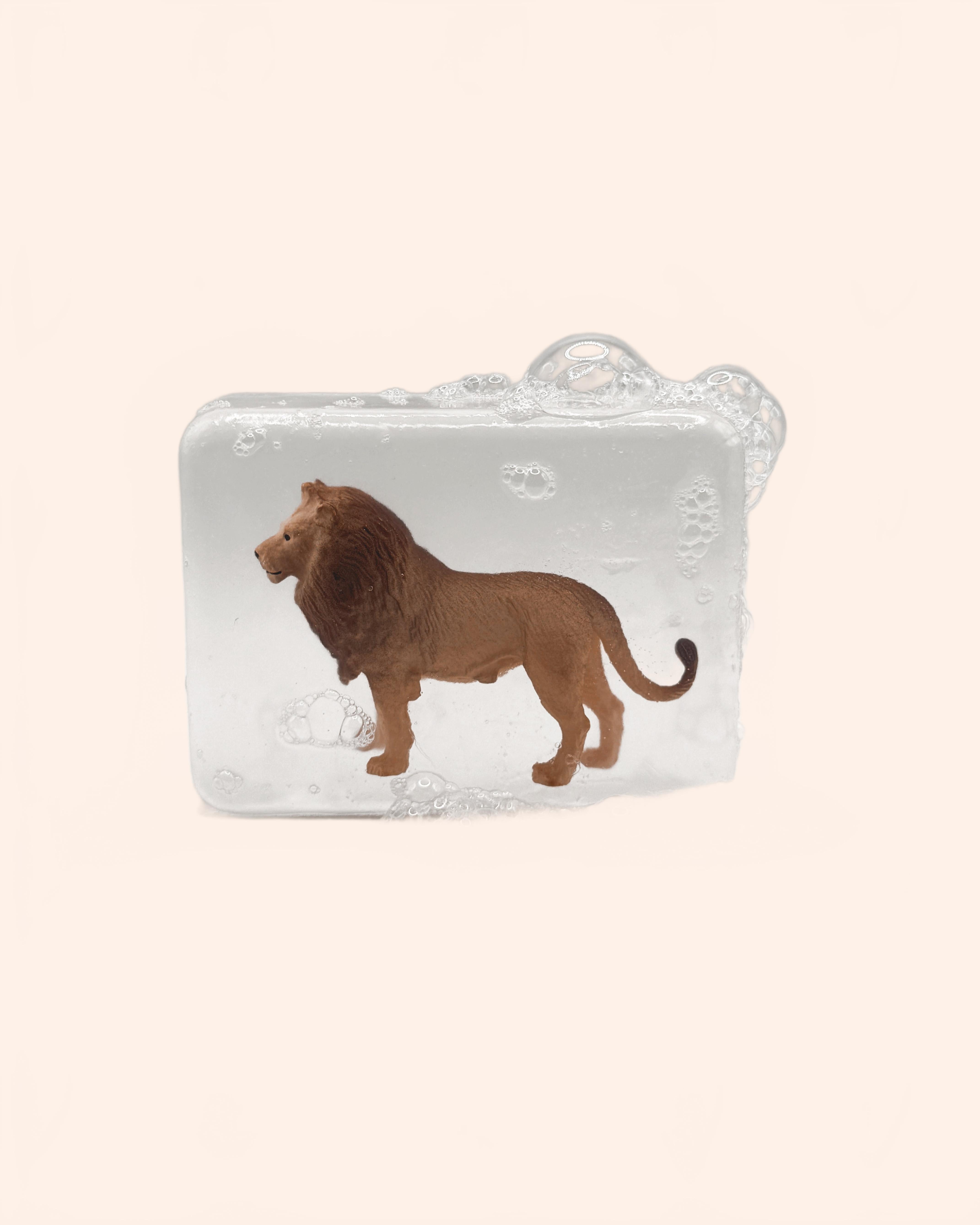 IMG 5142