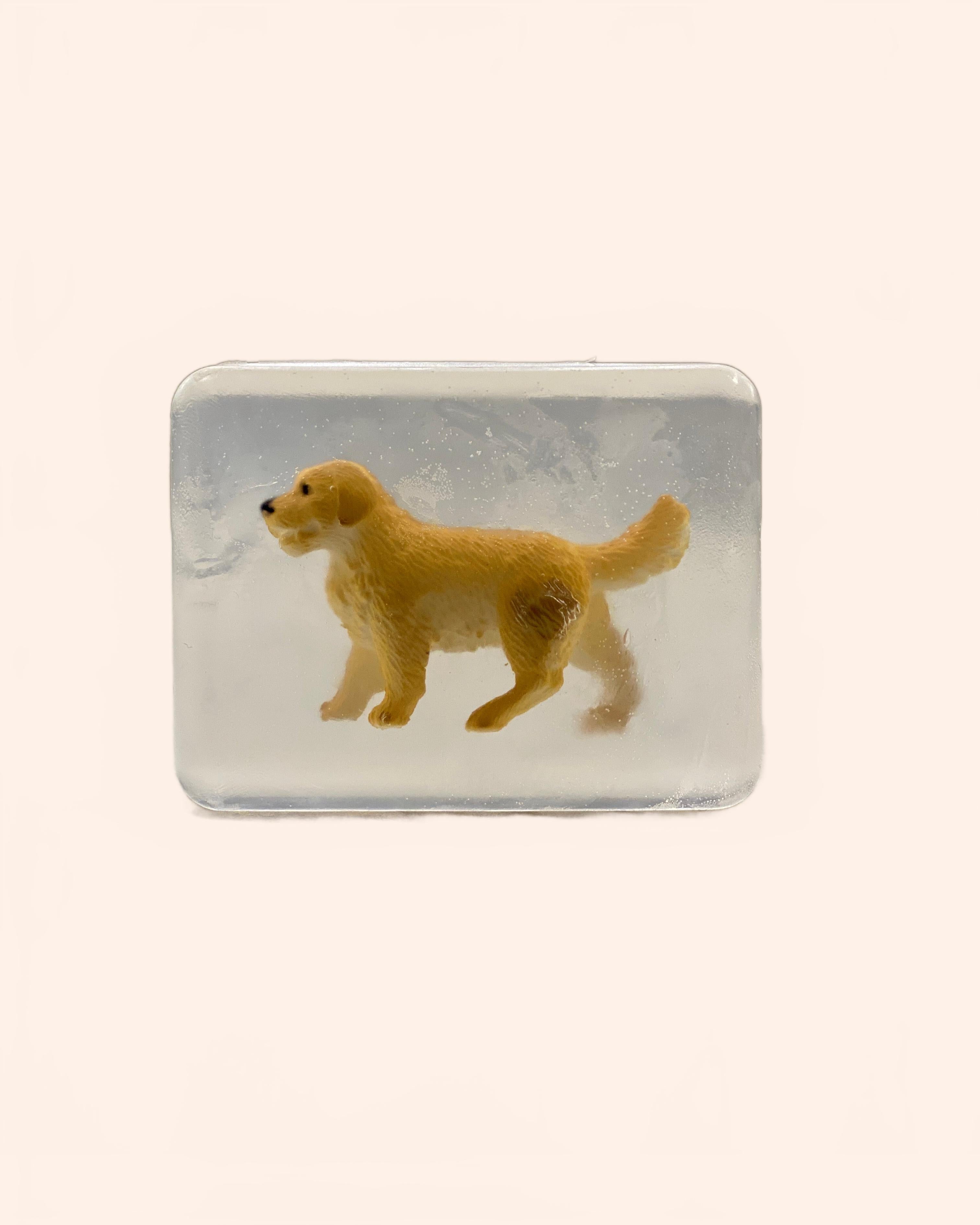 IMG 8710