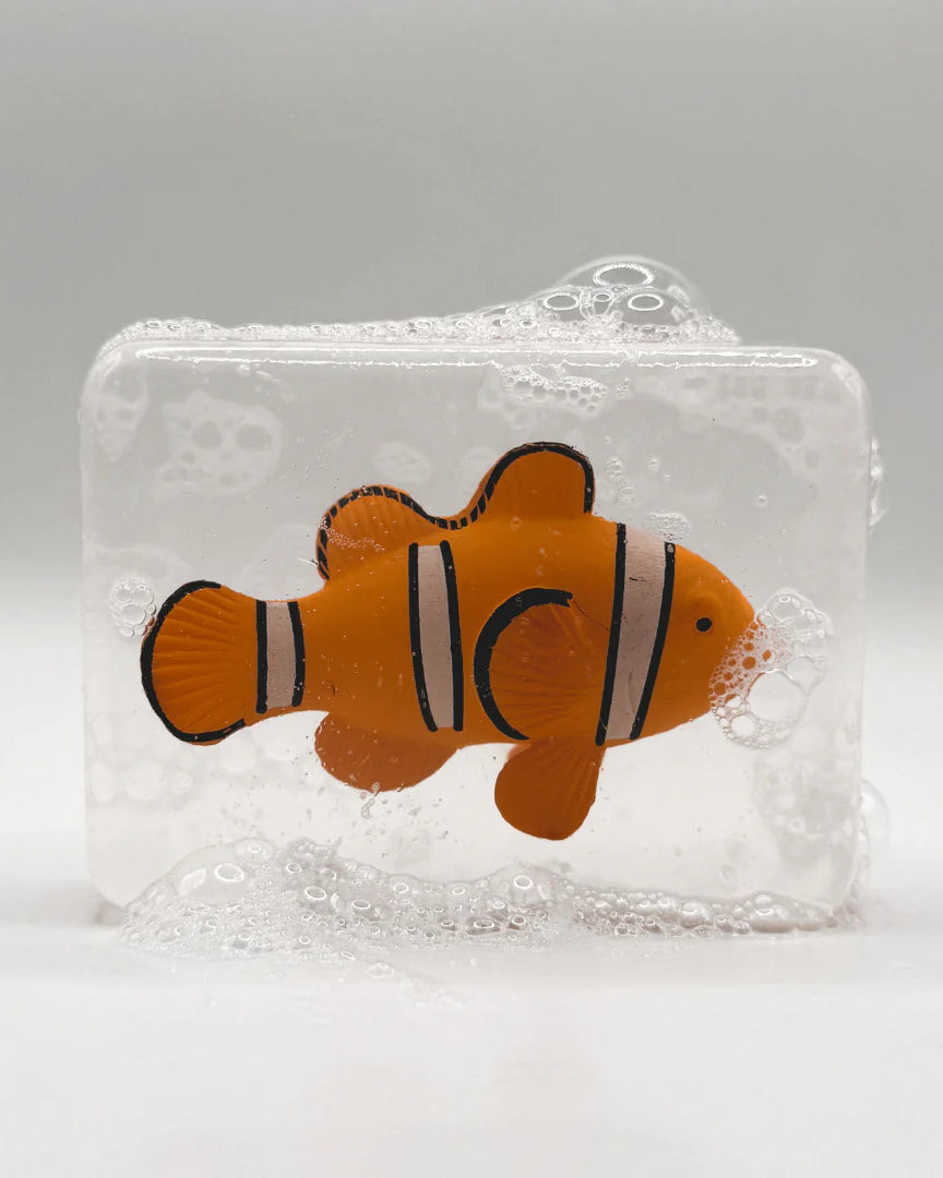 Poisson clown Ludi soap 1
