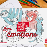 RC EA Les emotions 01 copie