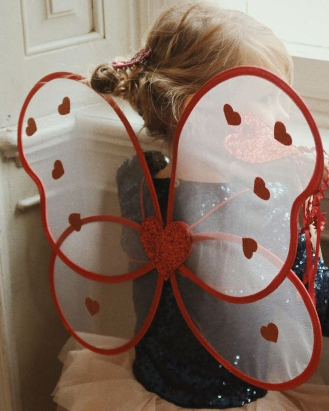 ailes de fee c  urs 3