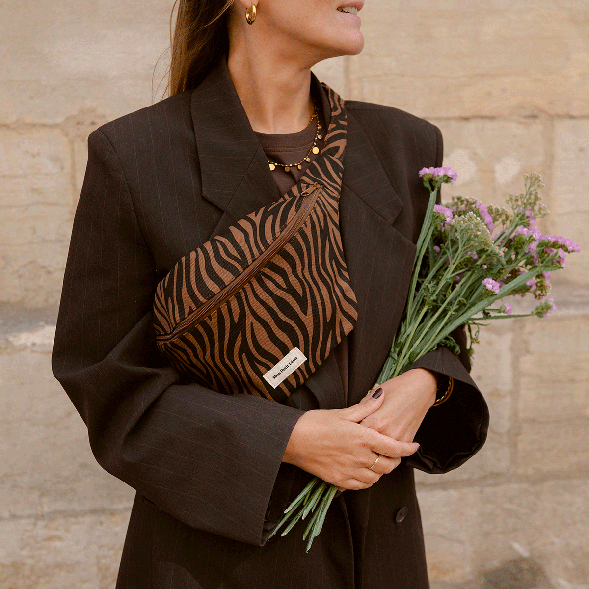 banane zebre marron mon petit leon 2 7e77894a 16c6 4852 acf3 3dff8d3dc9c4