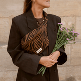 banane zebre marron mon petit leon 2 7e77894a 16c6 4852 acf3 3dff8d3dc9c4