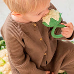 cauliflower1 4397a338 817b 496f bd9f ea13f7ae3641