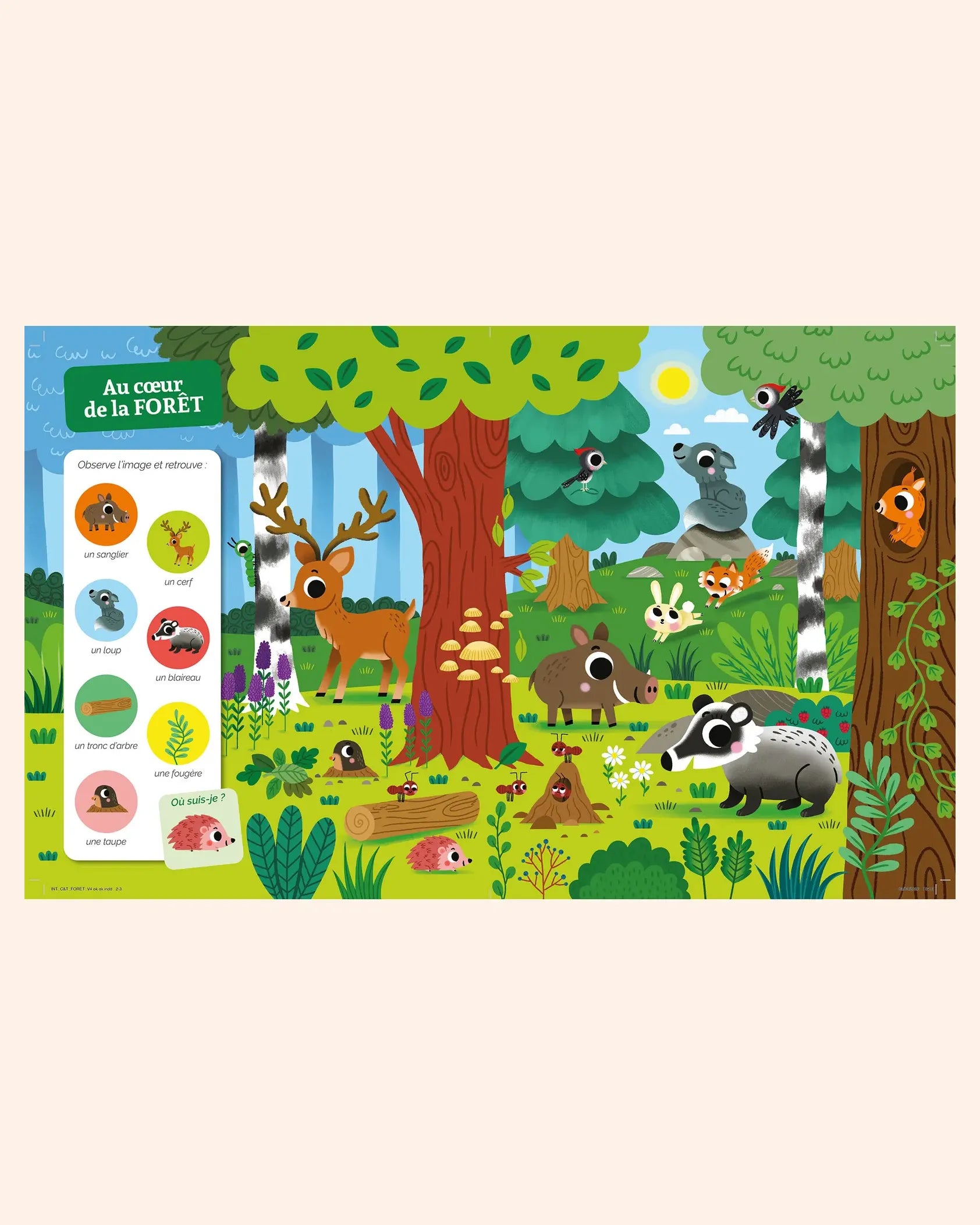 cherche trouve dans la foret   auzou 2
