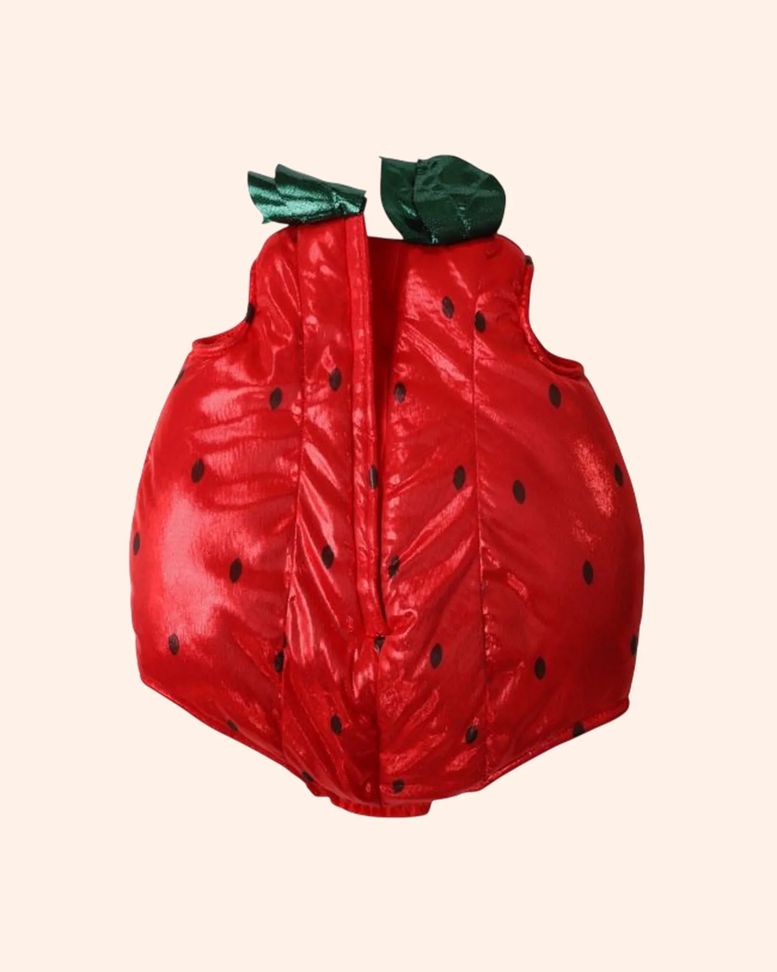 deguisement fraise   le petit souk 2