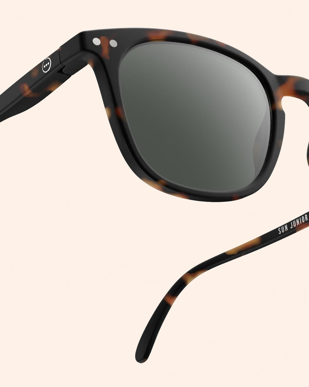 f8 jslmsec02 00 3 izi e sun tortoise vue3