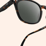 f8 jslmsec02 00 3 izi e sun tortoise vue3