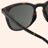 f8 jslmsec02 00 4 izi e sun tortoise vue4