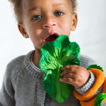 kale1