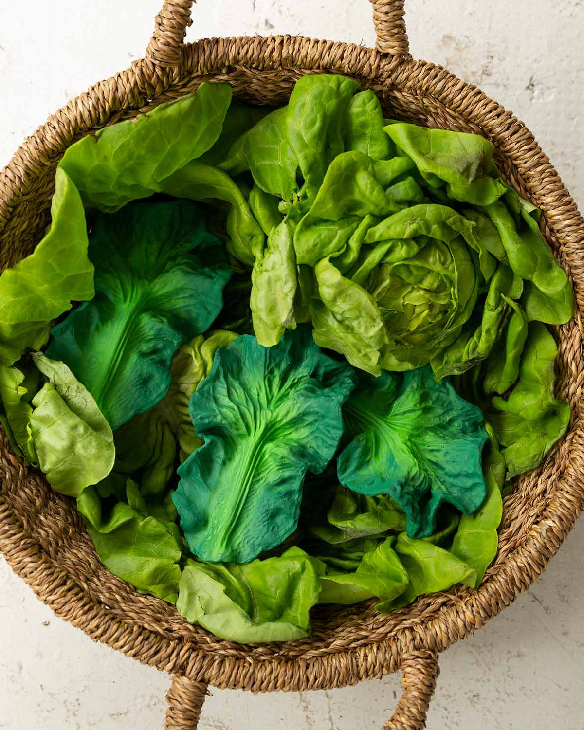 kale2