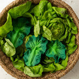 kale2