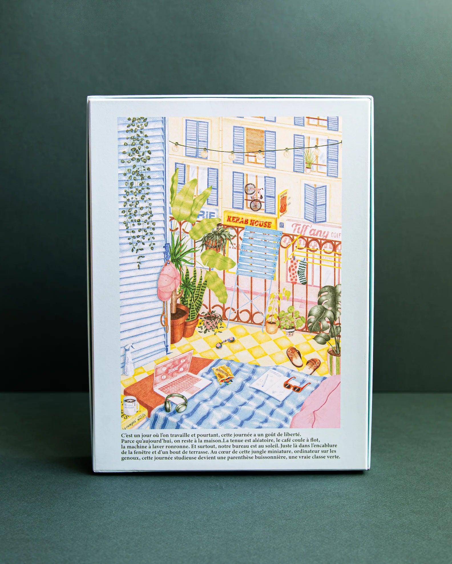 la classe verte   puzzle 1000 pieces   jour ferie 4