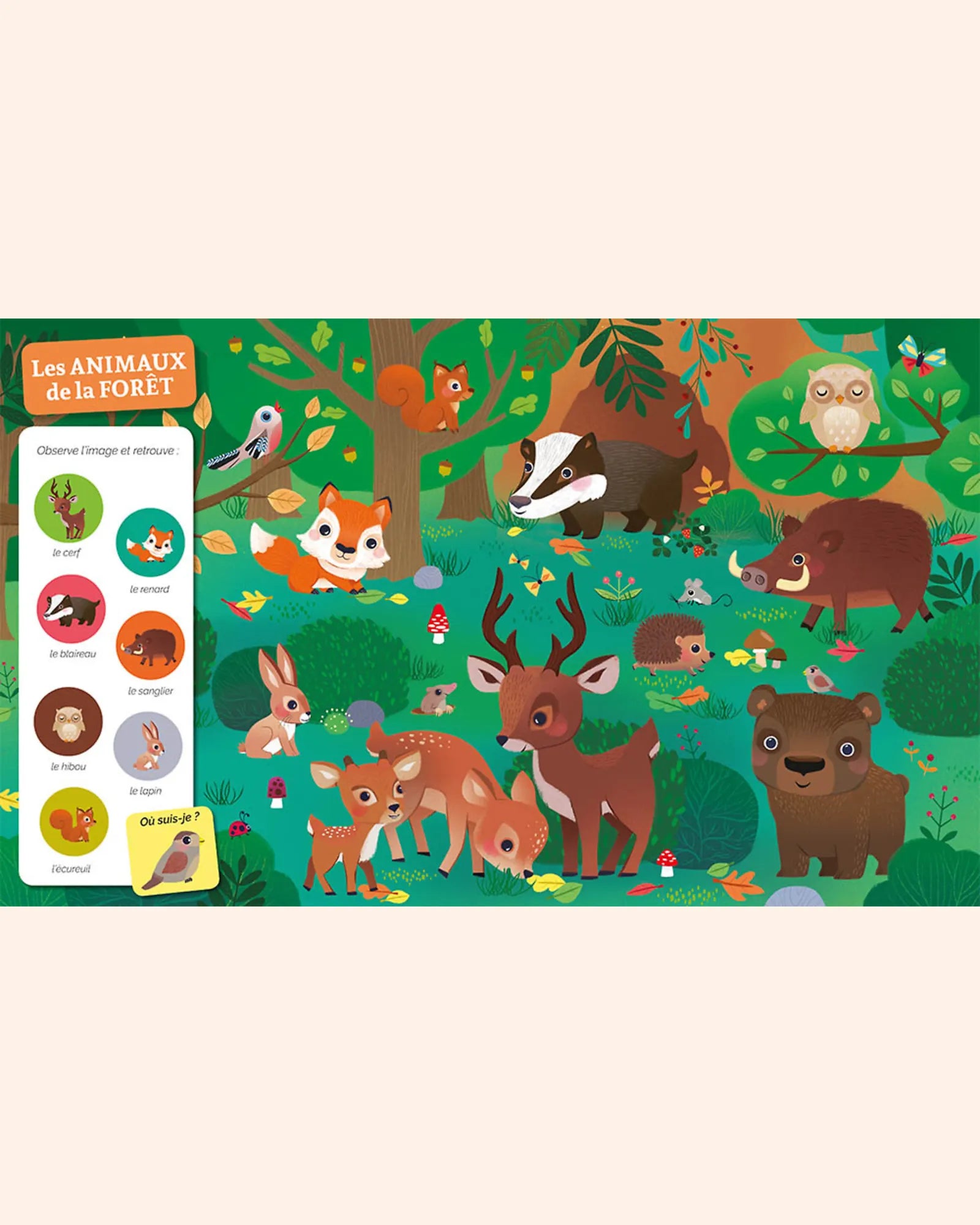 livre cherche et trouve des tout petits   chez les animaux   auzou 2