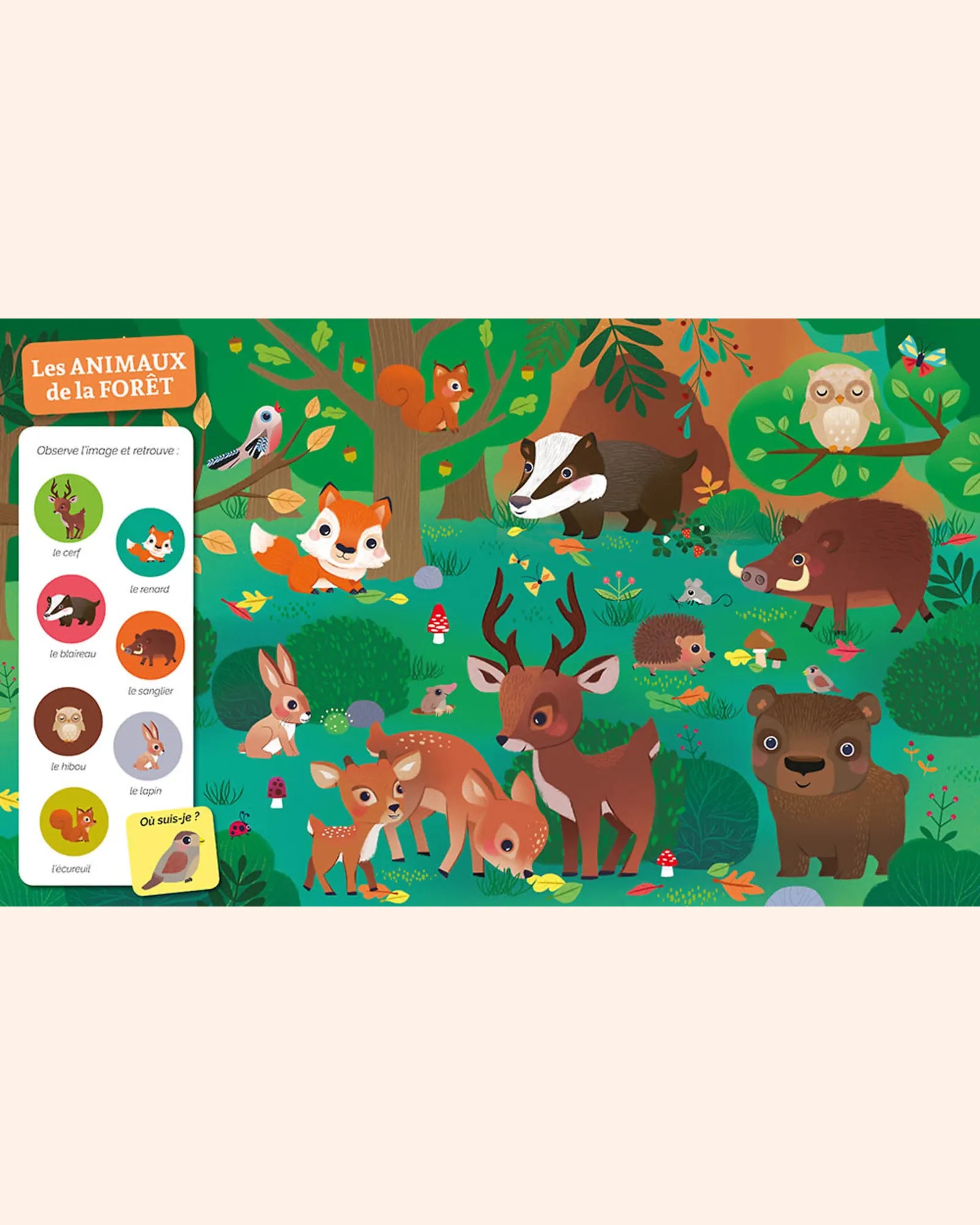 livre cherche et trouve des tout petits   chez les animaux   auzou 3
