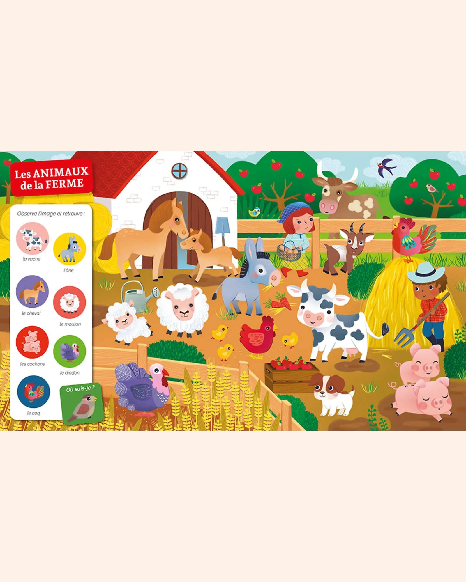 livre cherche et trouve des tout petits   chez les animaux   auzou 4