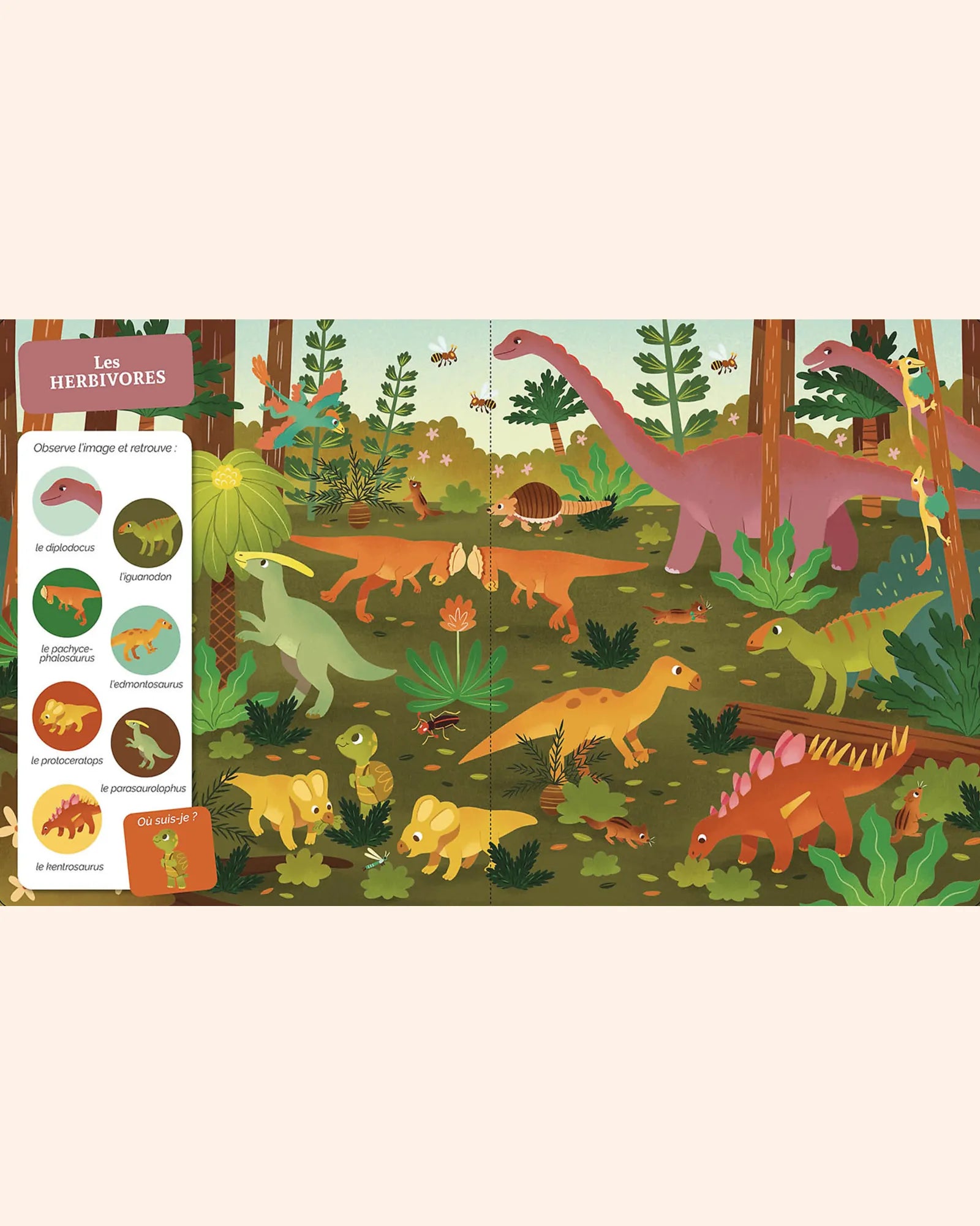 livre cherche et trouve des tout petits   les dinosaures   auzou 2