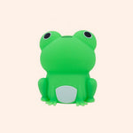mary s  led lamp  frog
