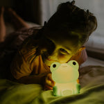 mary s  led lamp  frog