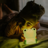 mary s  led lamp  frog
