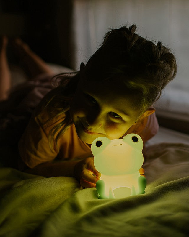 mary s  led lamp  frog