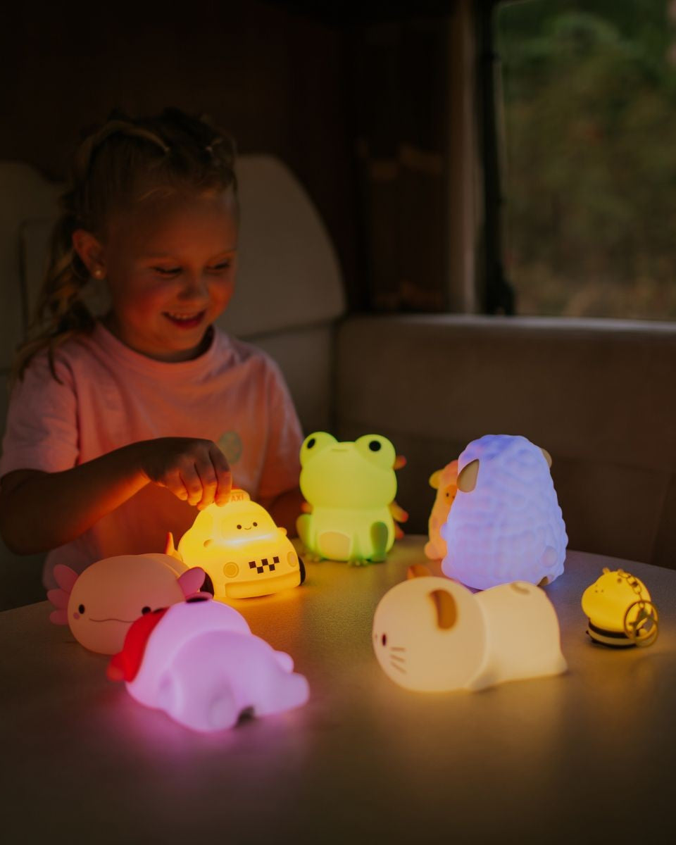 mary s  led lamp  frog