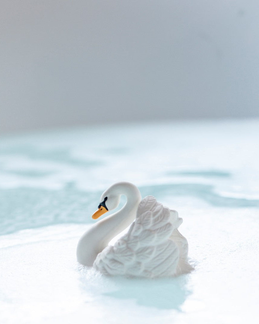 natruba  bathtoy swan 1