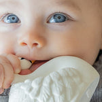 naturba swan bath teether 4