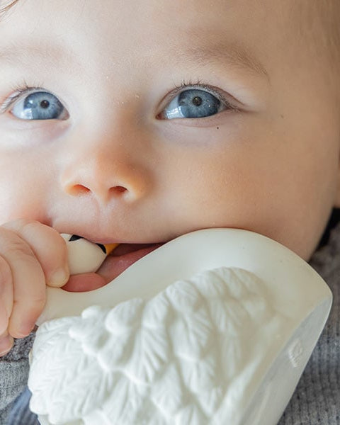 naturba swan bath teether 4