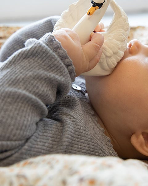 naturba swan bath teether 6