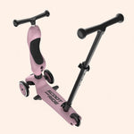 porteur evolutif en trottinette highwaykick 1 pushgo wildberry scoot ride 420189 OD