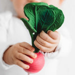 radish2 31591558 65e5 4cee 812e 1372082eb149