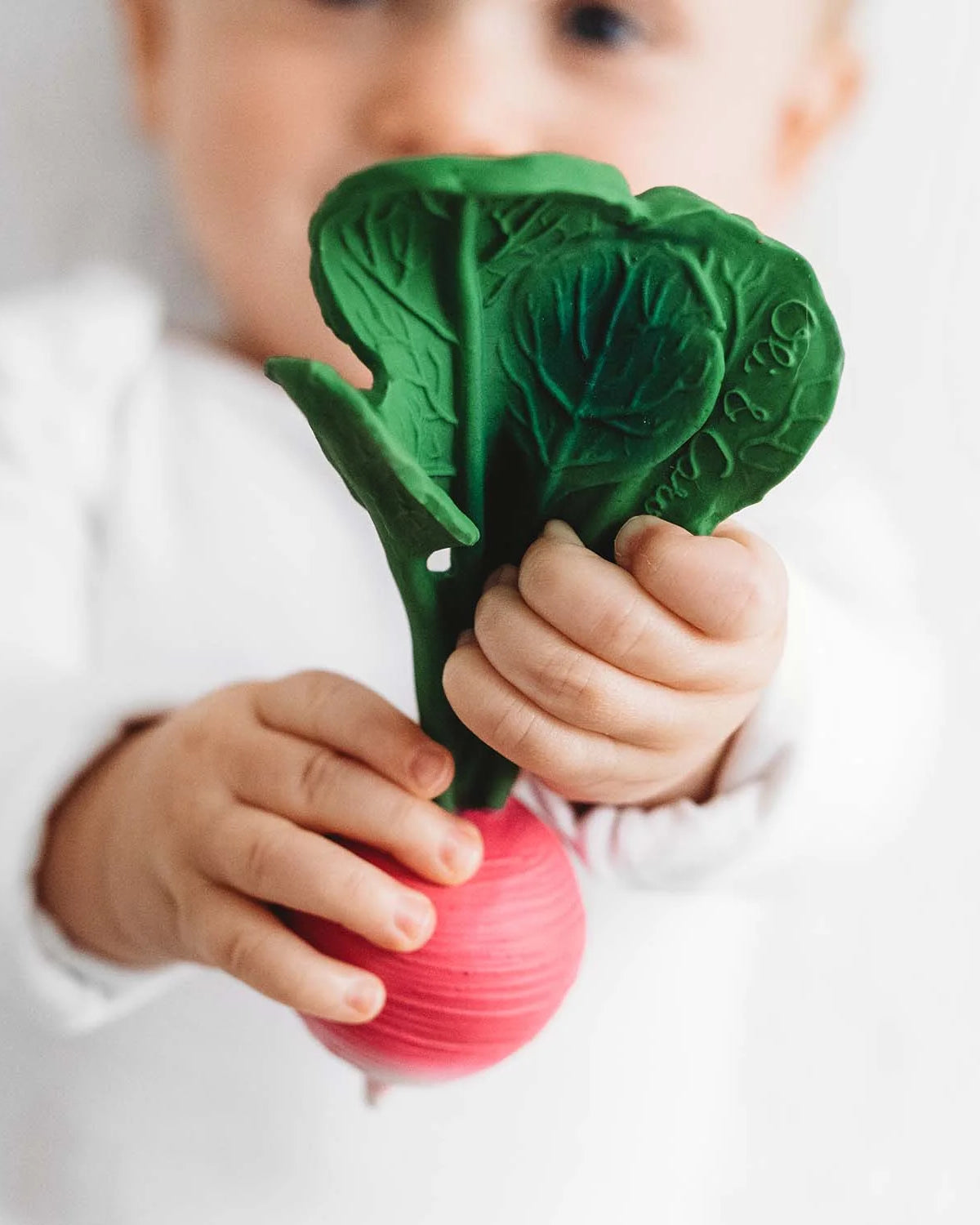 radish2 31591558 65e5 4cee 812e 1372082eb149