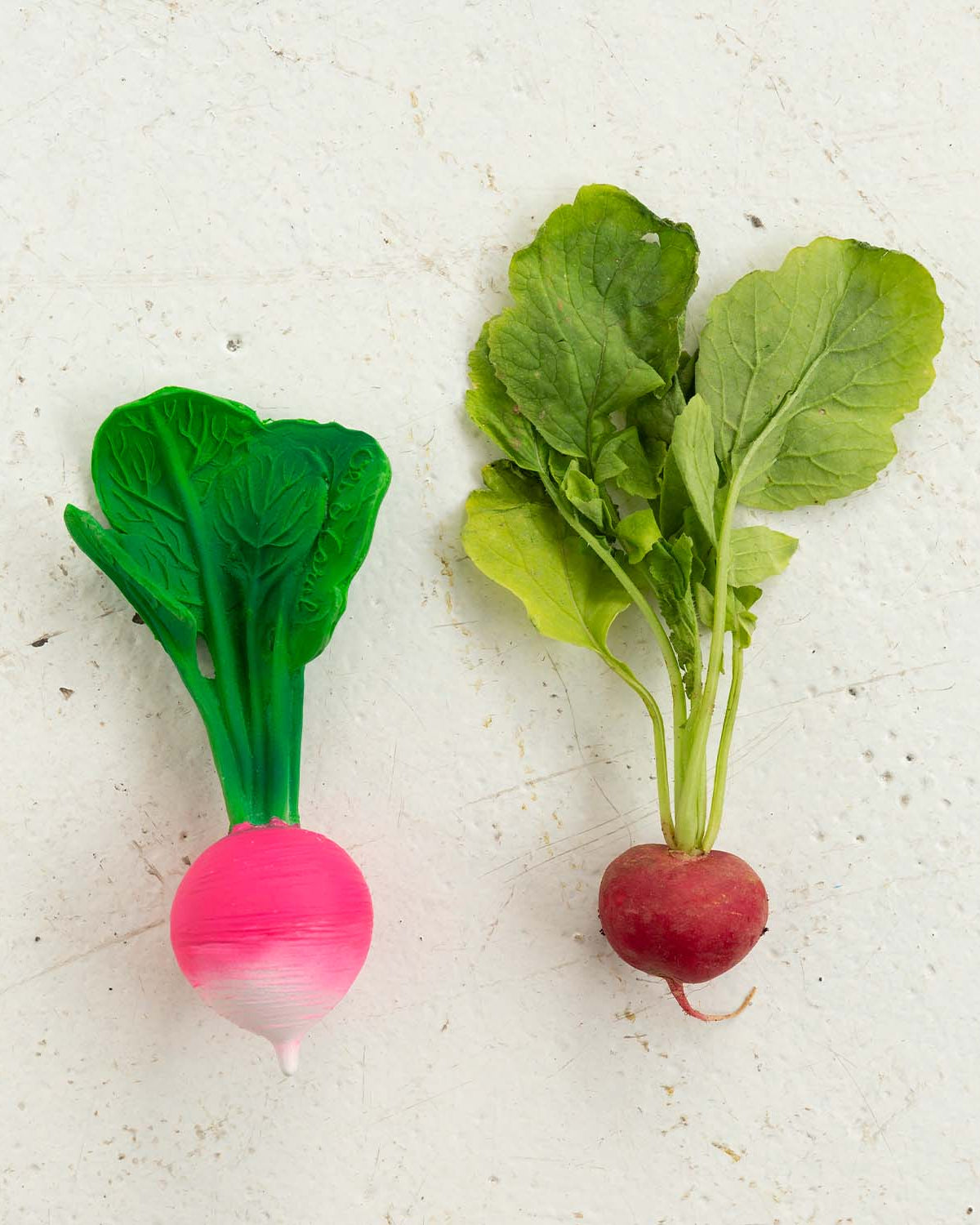 radish3 3daba8d8 88da 4e1a af4b ad4ddf1cf3df